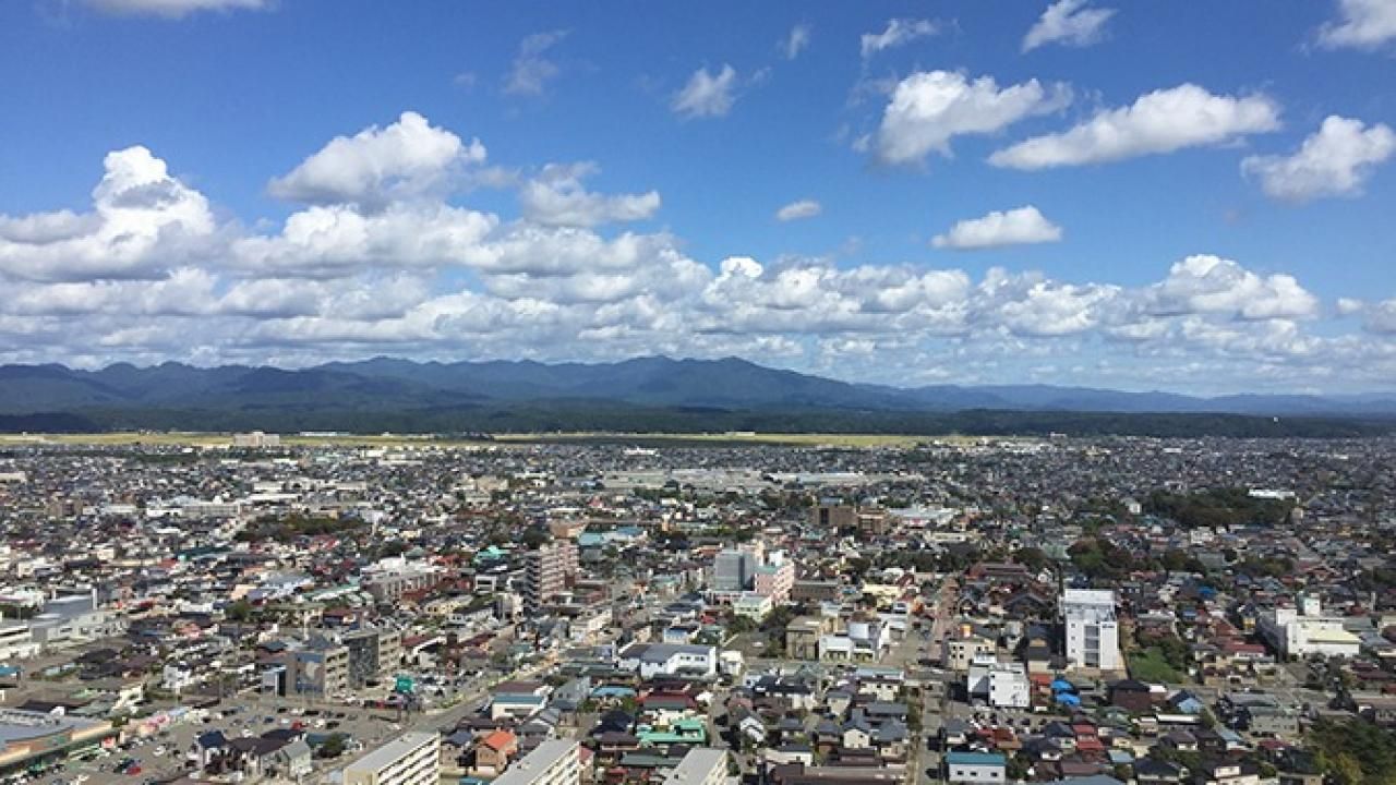 Ayılar şehre indi! Çok sayıda ölü var! Vali orduyu çağırdı, halk tedirgin