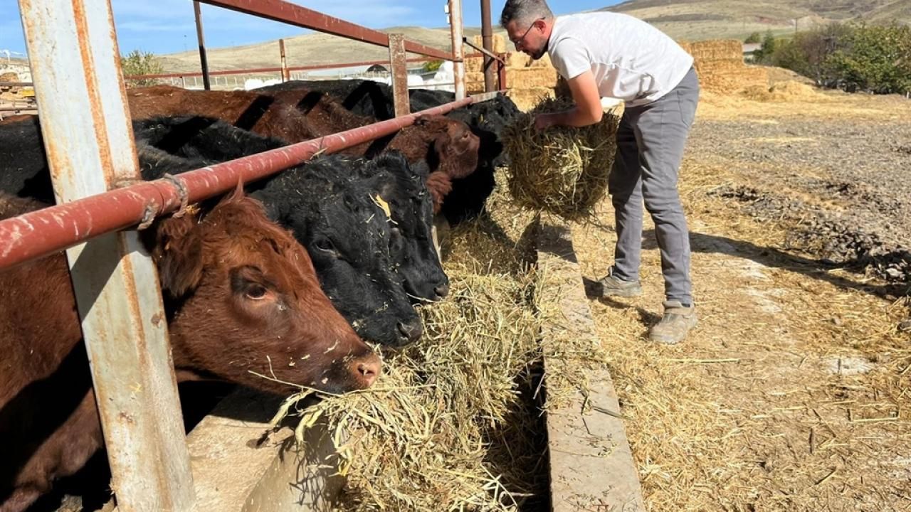 Bakanlık desteğiyle başlamıştı: Hedefi 150 baş hayvan!