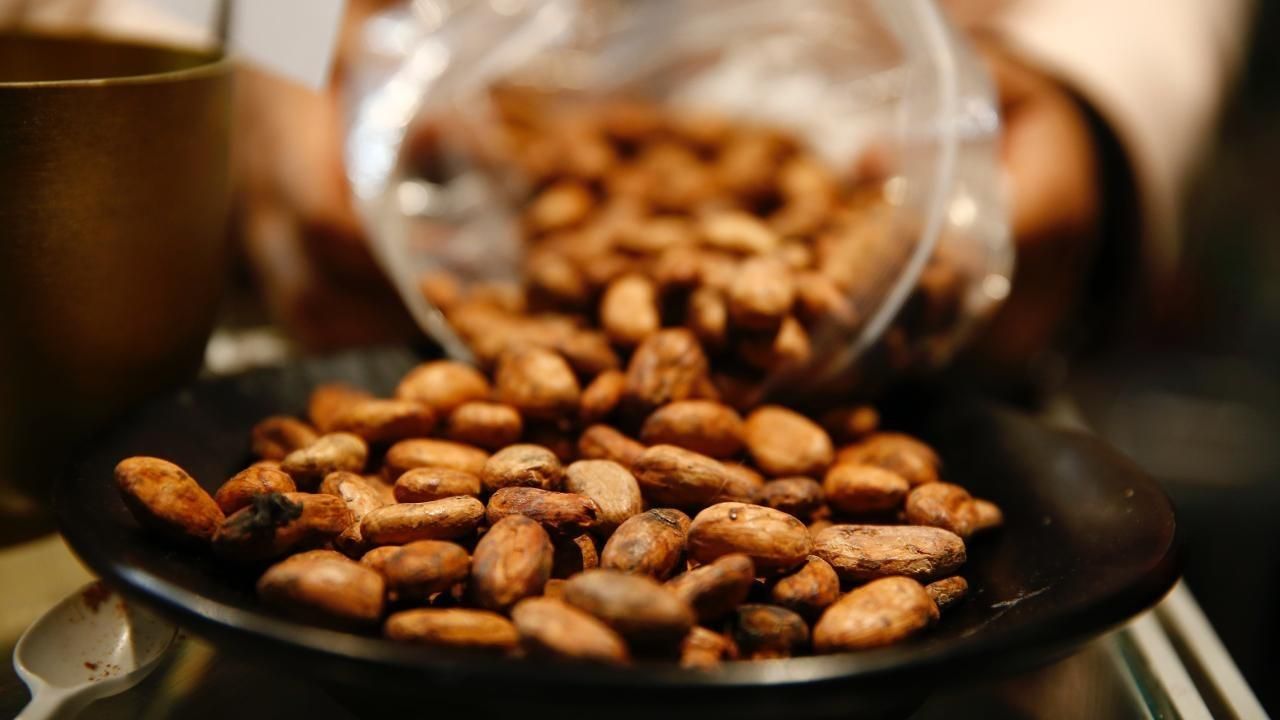 Bir fincan kakaonun şaşırtıcı faydası!