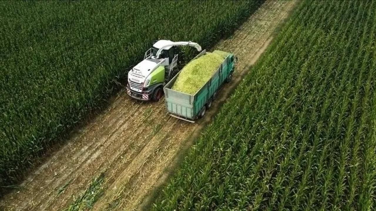 Tarıma yönelik hazine destekli finansmana ilişkin limitler düzenlendi