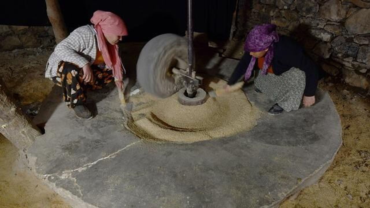 Bitlis'te Asırlık Su Değirmeninde Doğal Pirinç Üretimi