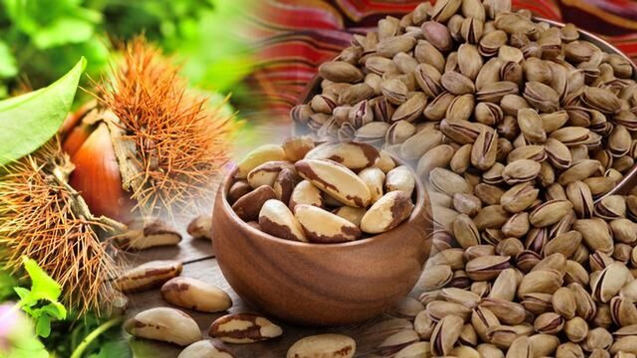 TasteAtlas'ın Dünyanın En İyi Kuruyemişleri Listesinde Türkiye'den 3 Ürün