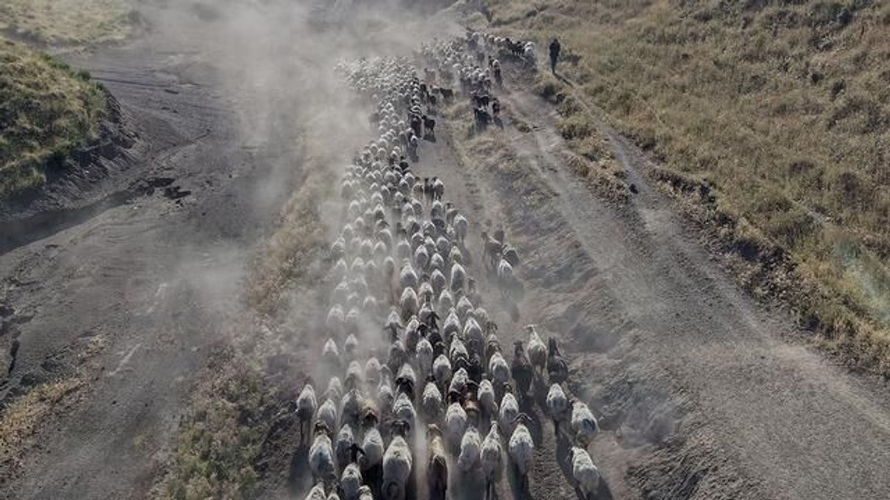 Bitlis'te Besicilerin Günlük Yayla Yolculuğu