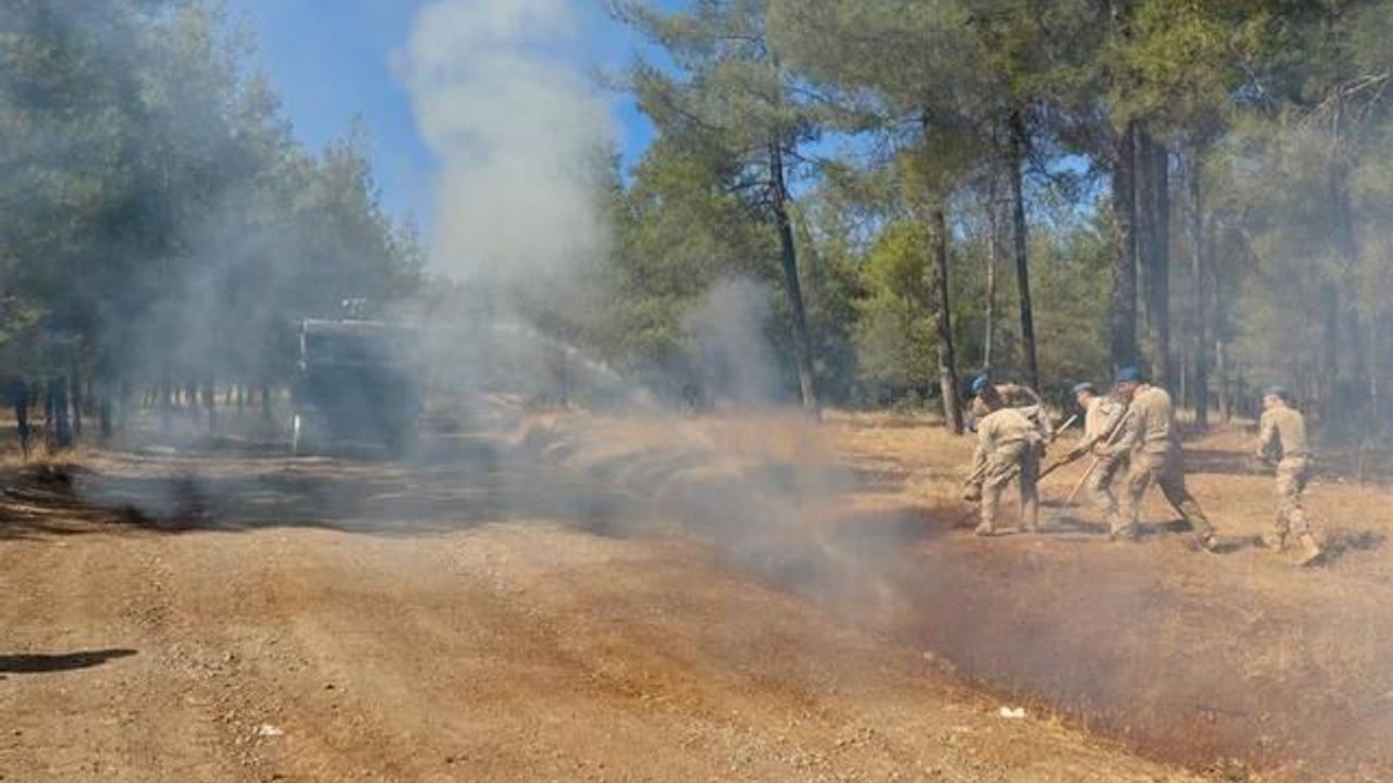 Kilis'te Orman Yangınlarına Karşı Devriye ve Tatbikatlar Artırıldı