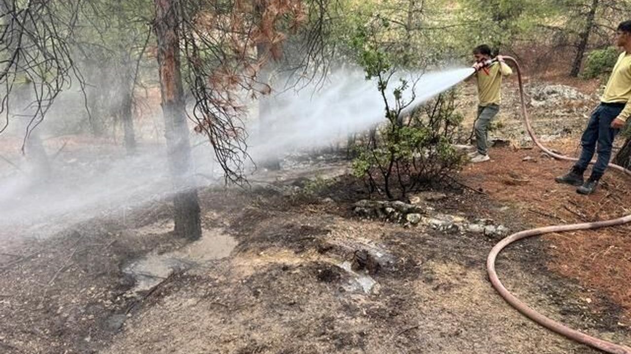 Kilis'te Yıldırım Nedeniyle Çıkan Orman Yangını Hızla Söndürüldü