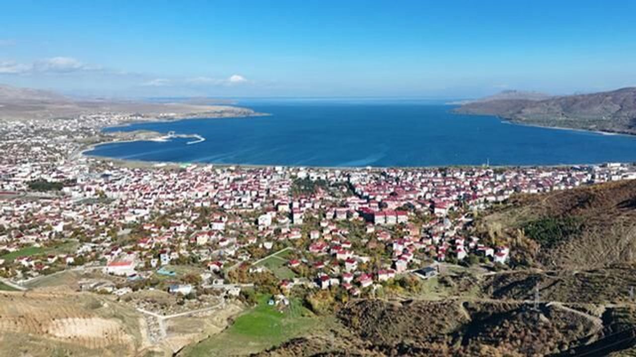 Bitlis'te Beyaz Öncü Kelebeği İlk Kez Görüldü
