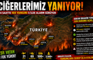 Ciğerlerimiz Yanıyor: Türkiye 24 Saatte 169 Yangınla Mücadele Etti! 5 İlde Alarm Sürüyor