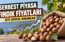 Serbest Piyasa Fındık Fiyatları: Bugün Fındık Kaç TL?