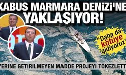 Kabus Marmara Denizi'ne yaklaşıyor! Büyük sorunu tek maddede tökezletti