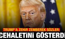 Trump'ın Gazze planı dünya basınında: Cehaletini gösterdi