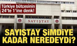 "560 milyar TL" tepkisi: "Sayıştay şimdiye kadar neredeydi"