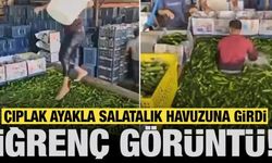 Adana'da iğrenç görüntüler: Çıplak ayakla salatalık havuzuna girdi