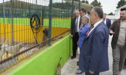 CHP'li Yontar'dan Çorlu'da 'Hayvan Bakım Evi'ne ziyaret