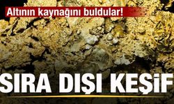 Altının kaynağını buldular! Sıra dışı keşif