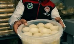 Ankara'da süt ürünleri üretimi ve satışı yapan 39 işletmeye denetim