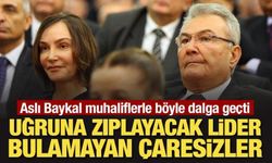Aslı Baykal muhaliflerle böyle dalga geçti: Uğruna zıplayacak lider bulamayan çaresizler