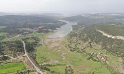 Barajda su seviyesi %30'a düştü: Havza yeşile büründü