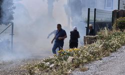 Bodrum'da yerleşim yeri yakınlarında yangın! 5 hektar etkilendi