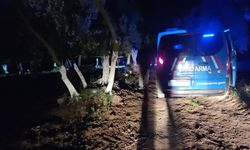 Bursa'da baltalı cinayet: 2 şüpheli gözaltında