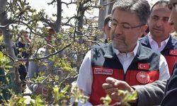 Çiftçilere 3 milyar 305 milyon TL'lik destekleme ödemeleri hesaplara aktarılıyor