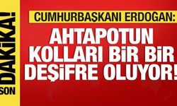 Cumhurbaşkanı Erdoğan'dan İstanbul mesajı: Ahtapotun kolları bir bir deşifre oluyor