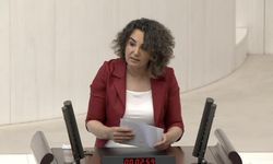 DEM Partili vekilden ‘LGBT’lilerin hormon ilaçlarını devlet karşılasın’ çağrısı