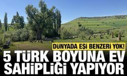 Dünyada tek bir örneği yok: 5 Türk boyuna ev sahipliği yapıyor!