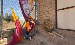 Evinde beslediği aslanlarla şampiyonluğu kutladı: Tekinin adı 'Fatih Terim'