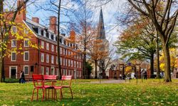 Harvard’tan Trump’a dava! Üniversite federal mahkemeye başvurdu