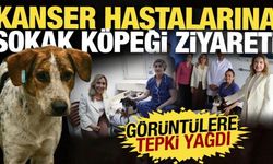 Kanser hastalarına sokak köpeği ziyareti tepki çekti