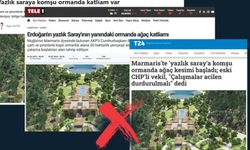 Marmaris'teki ağaç kesimi iddialarına DMM’den cevap: Gerçek doğal gaz hattı çıktı!