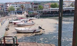 Müsilaj balıkçılara ağır darbe vurdu!