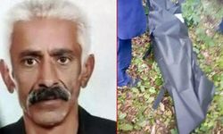 Ordu'da kayıp olan görme engelli kişi ölü bulundu