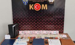 Ordu'da tefecilik operasyonunda 2 tutuklama