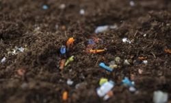Salata değil, plastik yiyoruz! Tarım ürünlerindeki sessiz tehlike