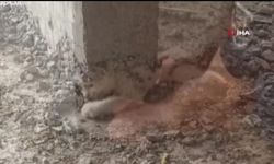Şanlıurfa'da akıl almaz olay!