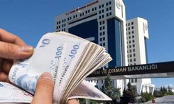 Tarım ve Orman Bakanlığı duyurdu: Üreticilere hayvan başına 18 bin TL'ye kadar destek!