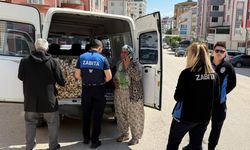 'Taşköprü sarımsağı' diye millete 'Çin sarımsağı' yedirmişler