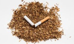 Tütün ürünü kullanan her iki kişiden biri erken ölüyor