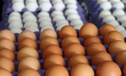 Yumurta üreticilerinden marketlere tepki: "Fiyatlar çıktığı hızda inmedi"