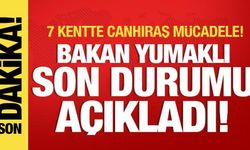 7 kentte yangınlarla mücadele: Bakan Yumaklı son durumu paylaştı!