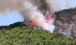 Bursa'da Yenişehirli çiftçilerden yangın seferberliği