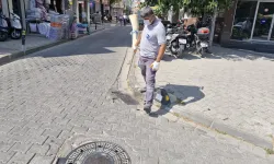 Çanakkale'de sinek alarmı