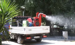 İstanbul Bakırköy’de zararlılara karşı ilaçlama seferberliği