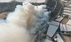 Antalya'da 2 ayrı noktada orman yangını! Ekiplerden yoğun müdahale