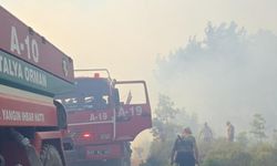 Antalya'da iki ayrı bölgede orman yangını!