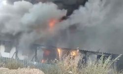 Bodrum'da korkutan yangın