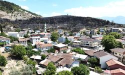 Ciğerimizi yakan görüntü! Yemyeşil orman manzaraları şimdi kömürlüğe döndü