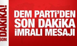 DEM Parti: İmralı'ya gitmek için hazırlık yapıyoruz