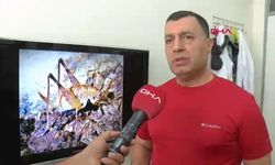 Diyarbakır’da bulunan yeni çekirge türünün ismi belli oldu